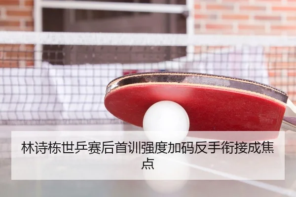 林诗栋世乒赛后首训强度加码反手衔接成焦点